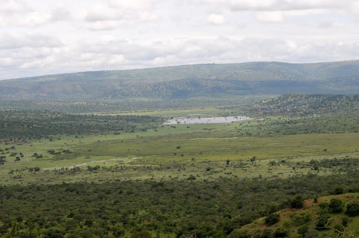Open savanna and wooded hills above a lake in Akagera National Park