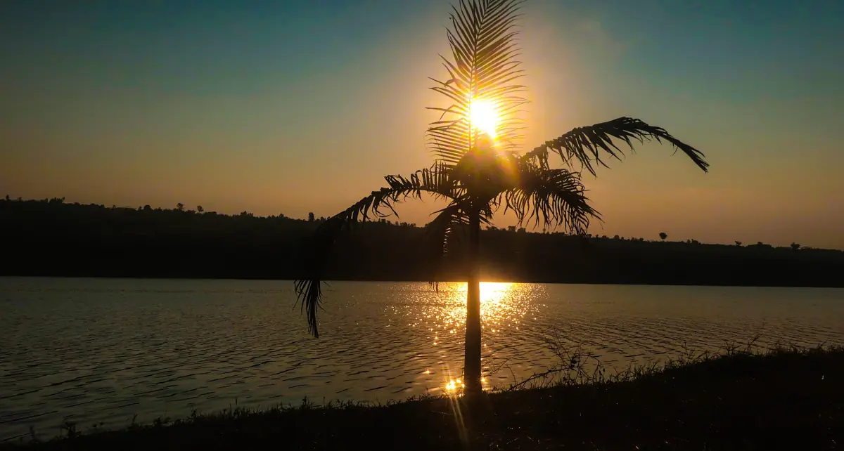 Sunset over Lake Muhazi with a palm silhouette